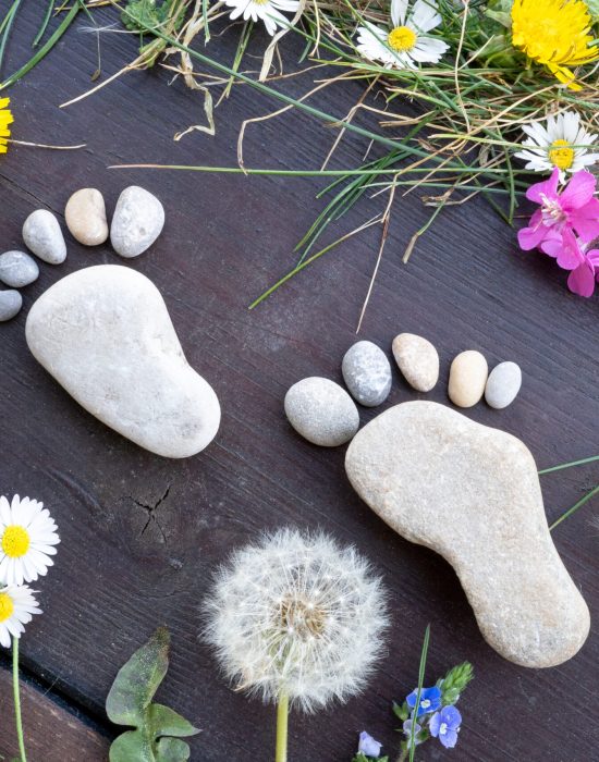 Stone,Feet,And,Meadow,Flowers,On,Wooden,Background.